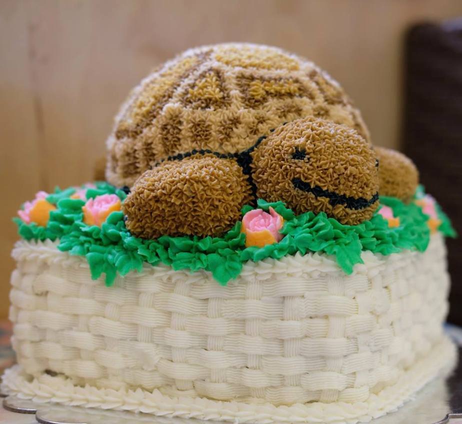 maya's turtle cake 2017